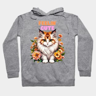 Feelin Cute Kitty Hoodie